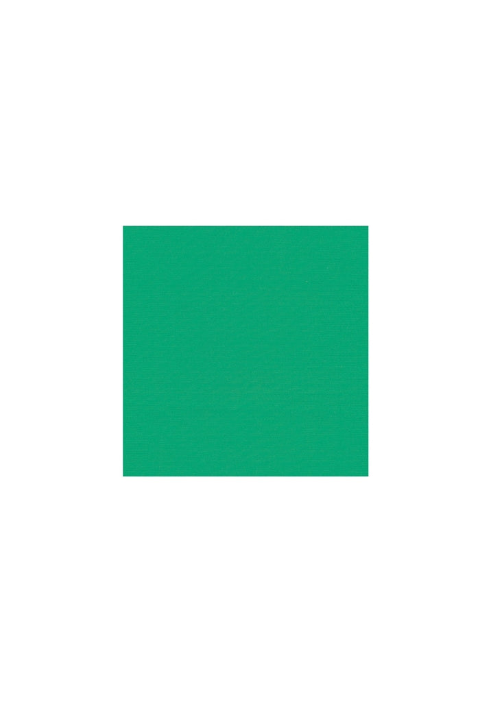 Alberto Rookie-B5 WR Revolutional Golfbroek Heren - Groen detail