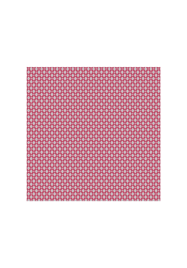 Alberto Mona Revolutional Print WR Golfbroek Dames - Print detail