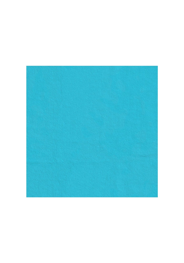 Alberto Ian-K-OA WR Revolutional Golfshort Heren - Turquoise detail