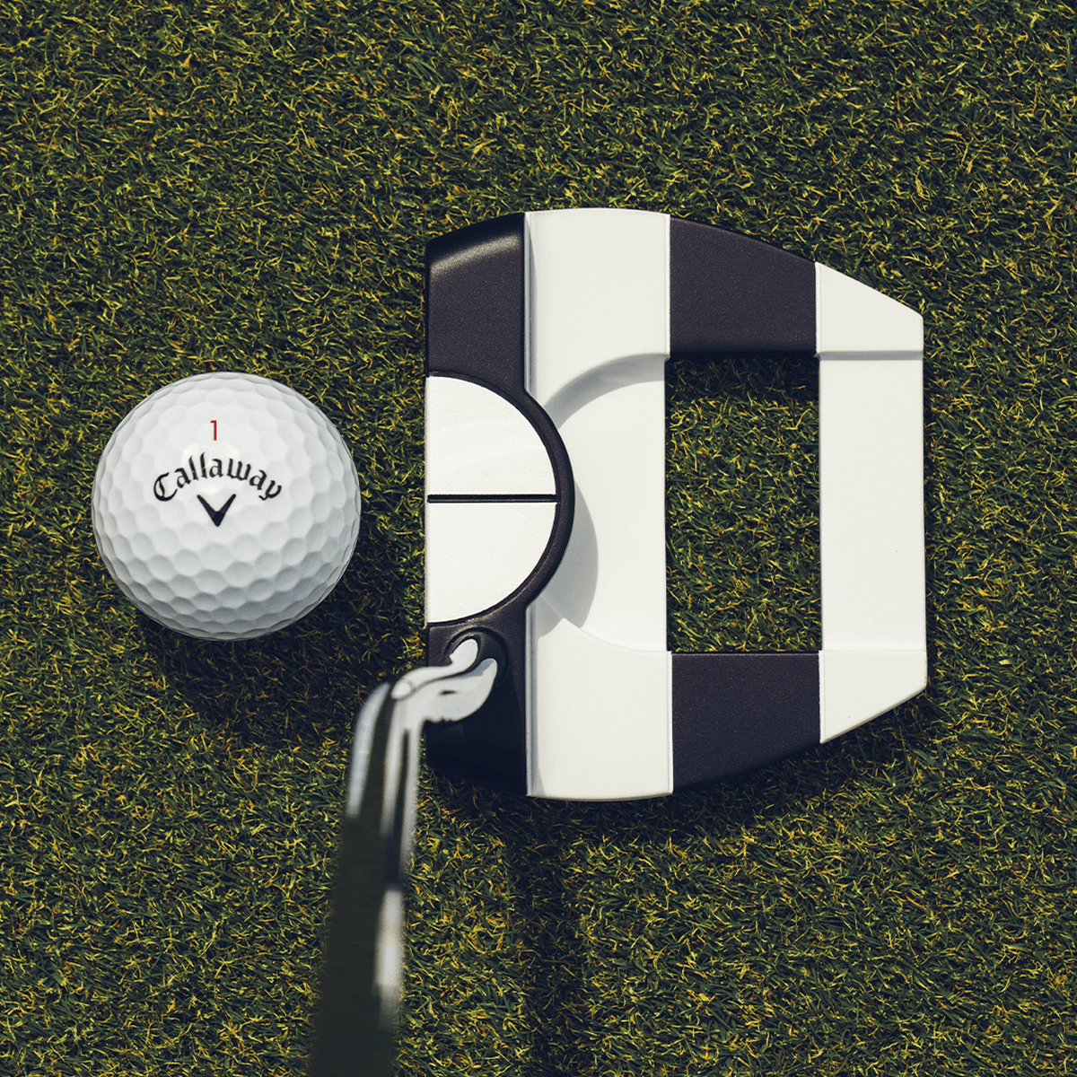 Odyssey Ai-Dual Jailbird Mini 1/2-Ball DB putter - detail